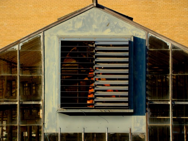 "peak" photograph by J. Downs