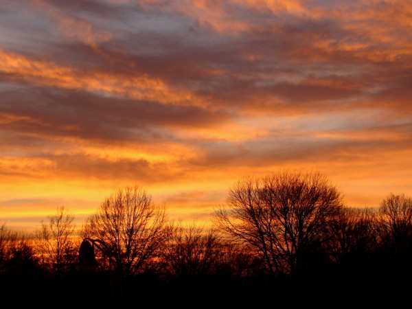 "Love for Three..." photo by J. Downs