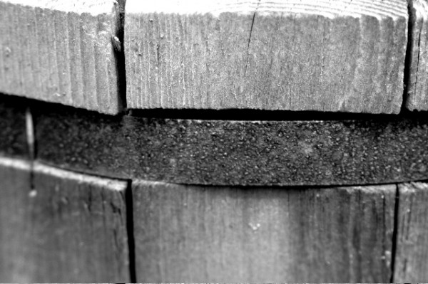 "bound" photograph by J. Downs