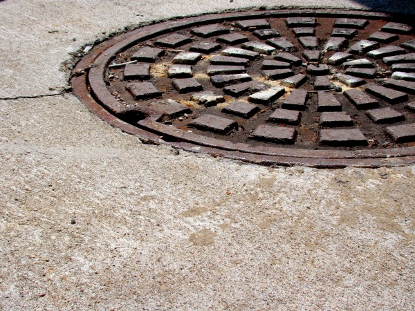 "fotofixations" photograph by J. Downs