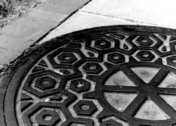 "welcome mat" photograph by J. Downs