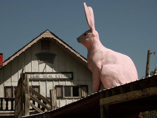 Digital color photograph "pink" by David J. Downs